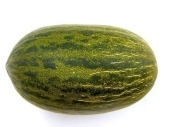 Melon zielony 1 szt