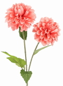 Smarthome Gałązka sztucznych dalii 2 kwiaty Mix kolorów 65 cm